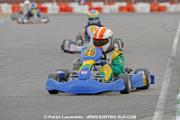 _DSC4653 copie
